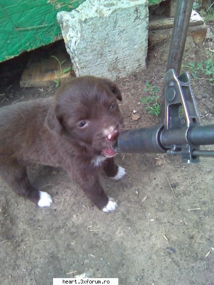 hai cunoastem! pozeeee! iar inceput lase ori comentul