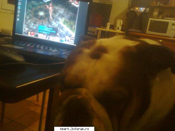 hai cunoastem! pozeeee! cand doarme ... joaca Membru HEART