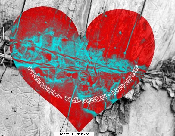 logo heart poza cerere loki Membru HEART