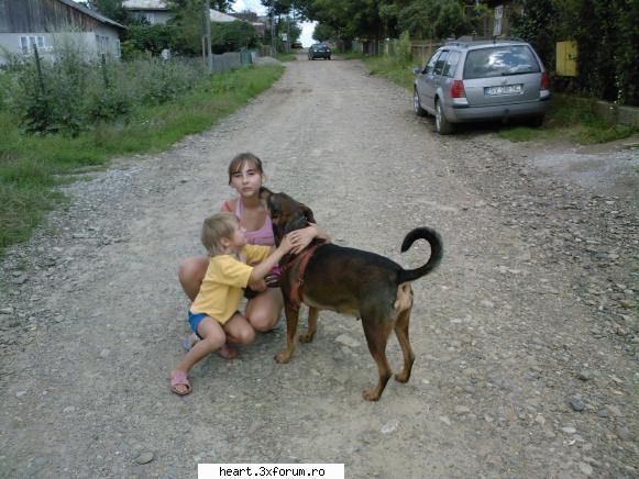 hai cunoastem! pozeeee! catzeaua mea...cand dus'o tzara mii dor