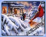 ... felis navidad